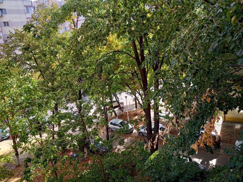 Obor, Colentina Teiul Doamnei, langa Sectia 7 Politie,8 minute Obor,