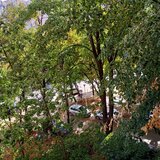 Obor, Colentina Teiul Doamnei, langa Sectia 7 Politie,8 minute Obor